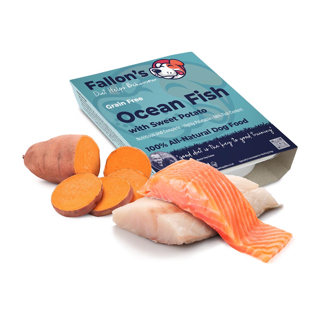 Ocean Fish Sweet potato wet dog food Omega 3 Sensitive Dog